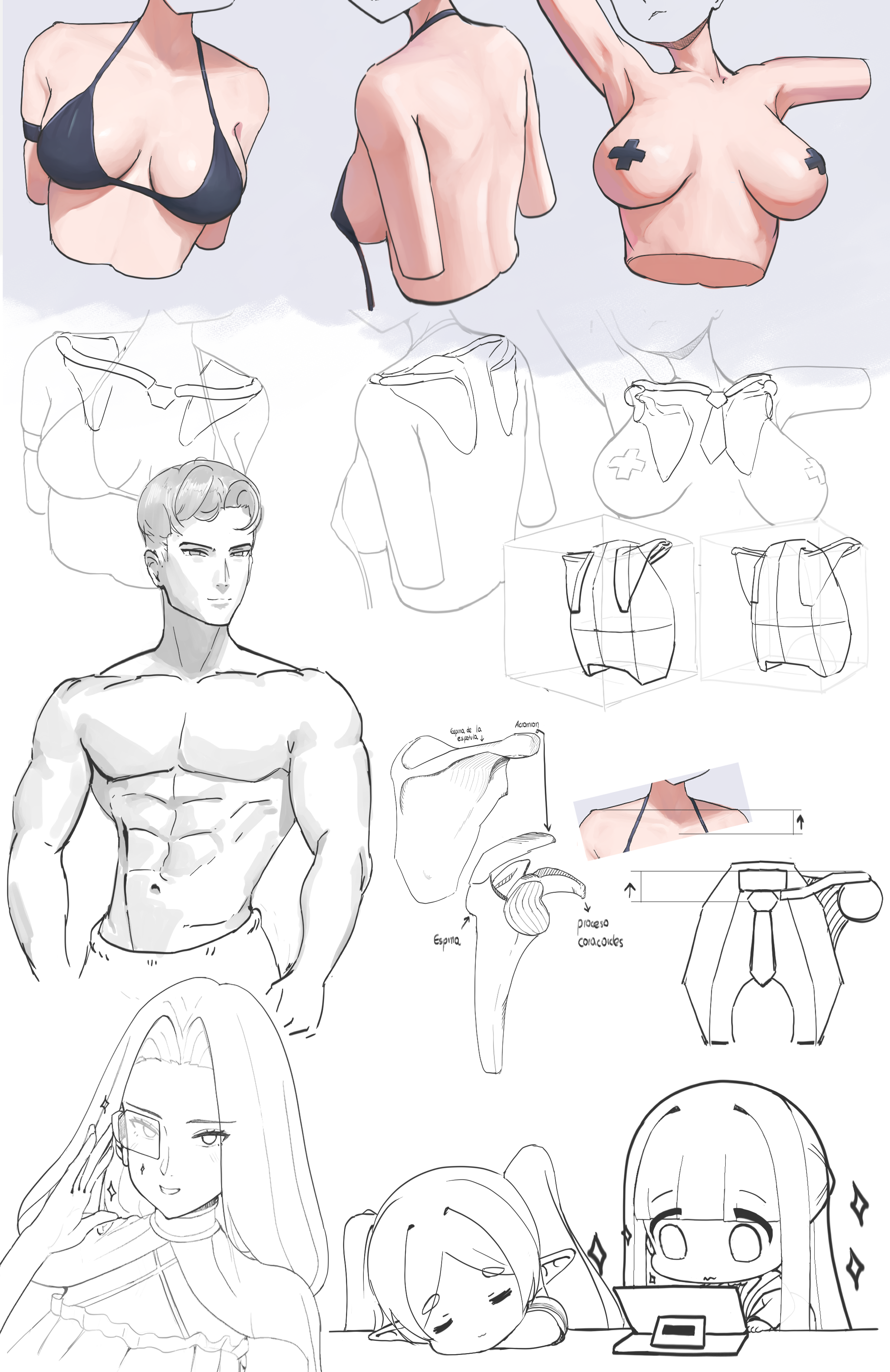 Práctica de dibujo anime, estudio del torso a color + huesos, 2 tonos en torso, jugando con las referencias Frieren + Chibis